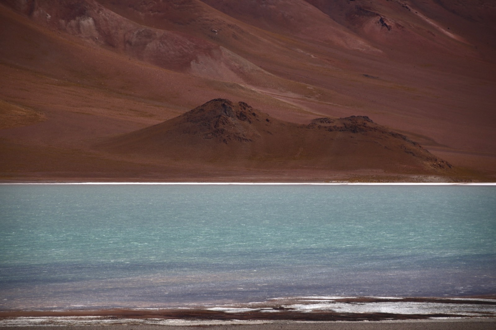 Puna Landscapes - Geometries and Cartographies